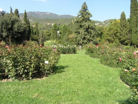 фото Никитский ботанический сад