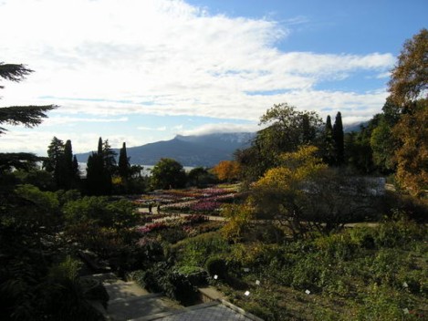 бал хризантем никитский ботанический сад